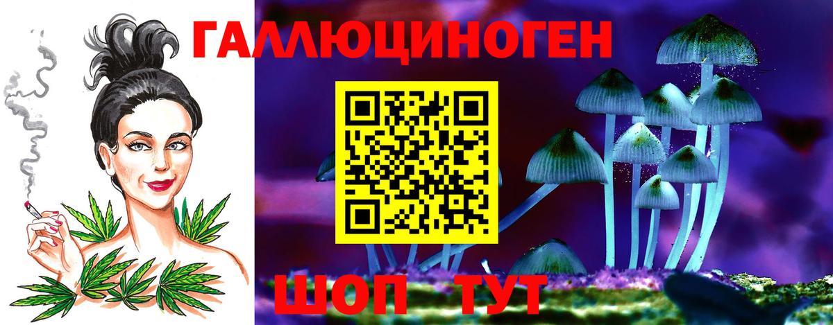Бор  Псилоцибиновые грибы мухоморы  Псилоцибиновые грибы Psilocybine cubensis  Вход с VPN 